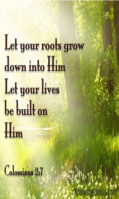 Colossians 2:7 Rooted on Christ (brown)